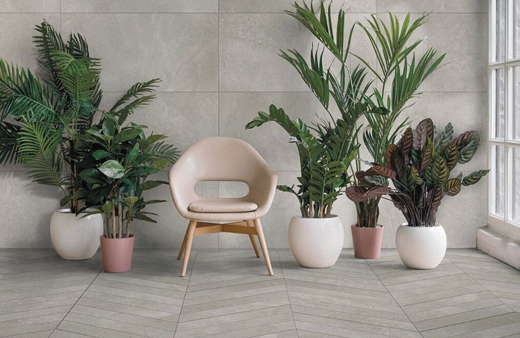 Leccese by Ceramica Magica (Ages)