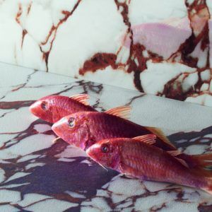 Pulp by 41zero42 (discontinued - limited stock) - SS Tile & Stone