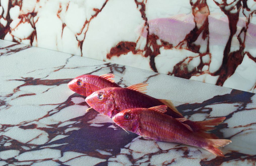 Pulp by 41zero42 (discontinued - limited stock)
