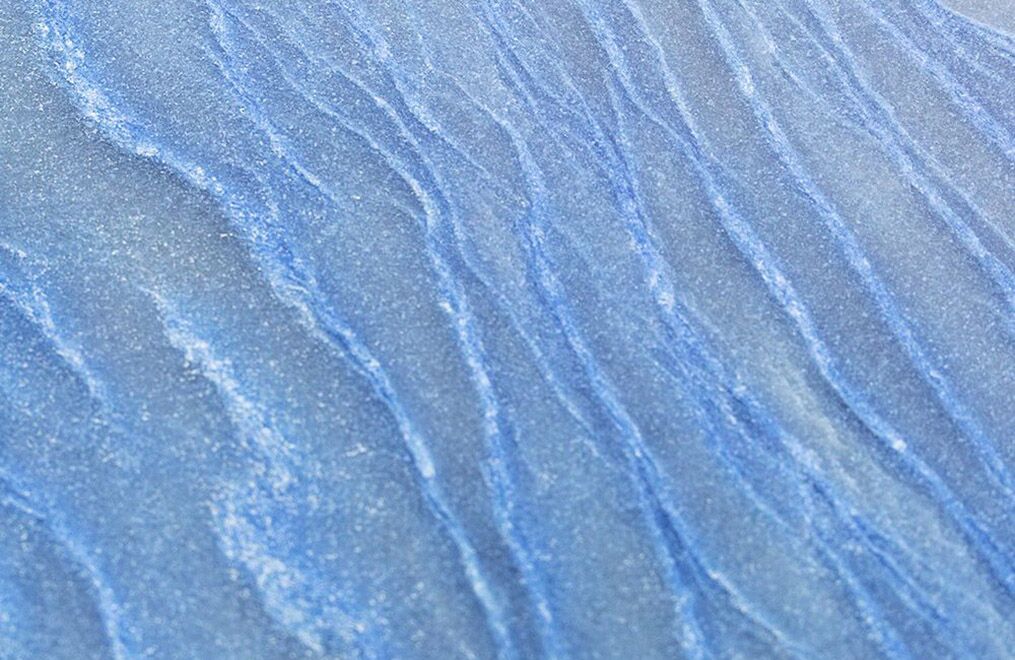 Blue Macauba - Image 2