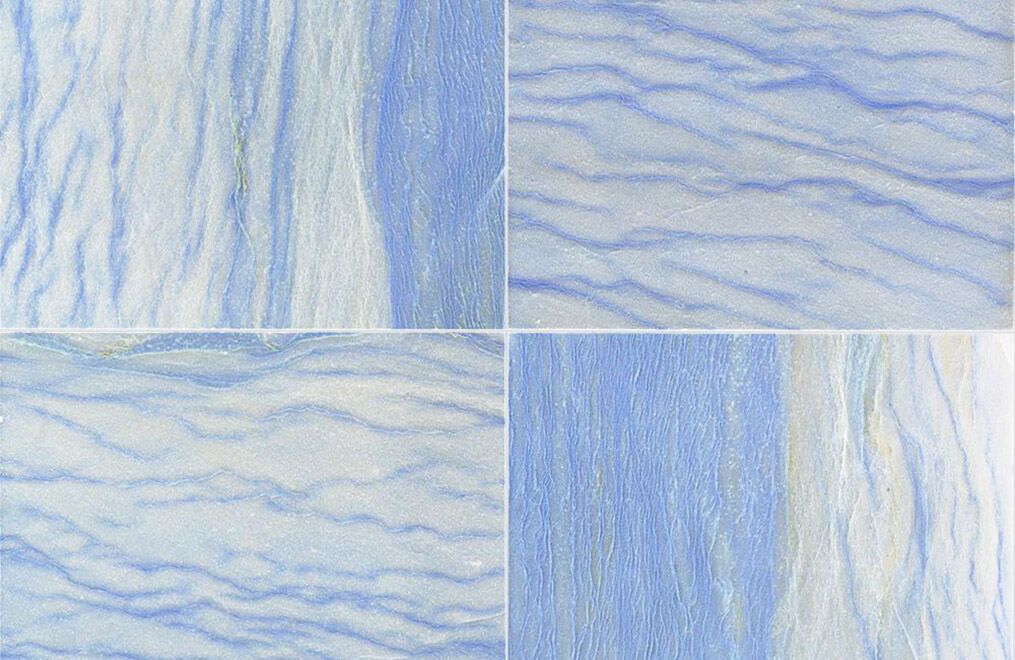Blue Macauba - Image 3